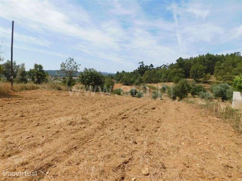 Terreno / Fundão, Salgueiro - Grande imagem: 2/2