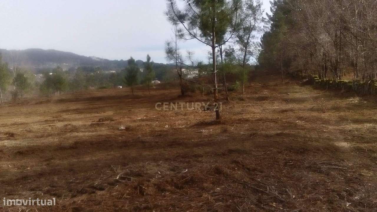 Terreno para Construção Vila Verde junto Rio Homem - Grande imagem: 4/8