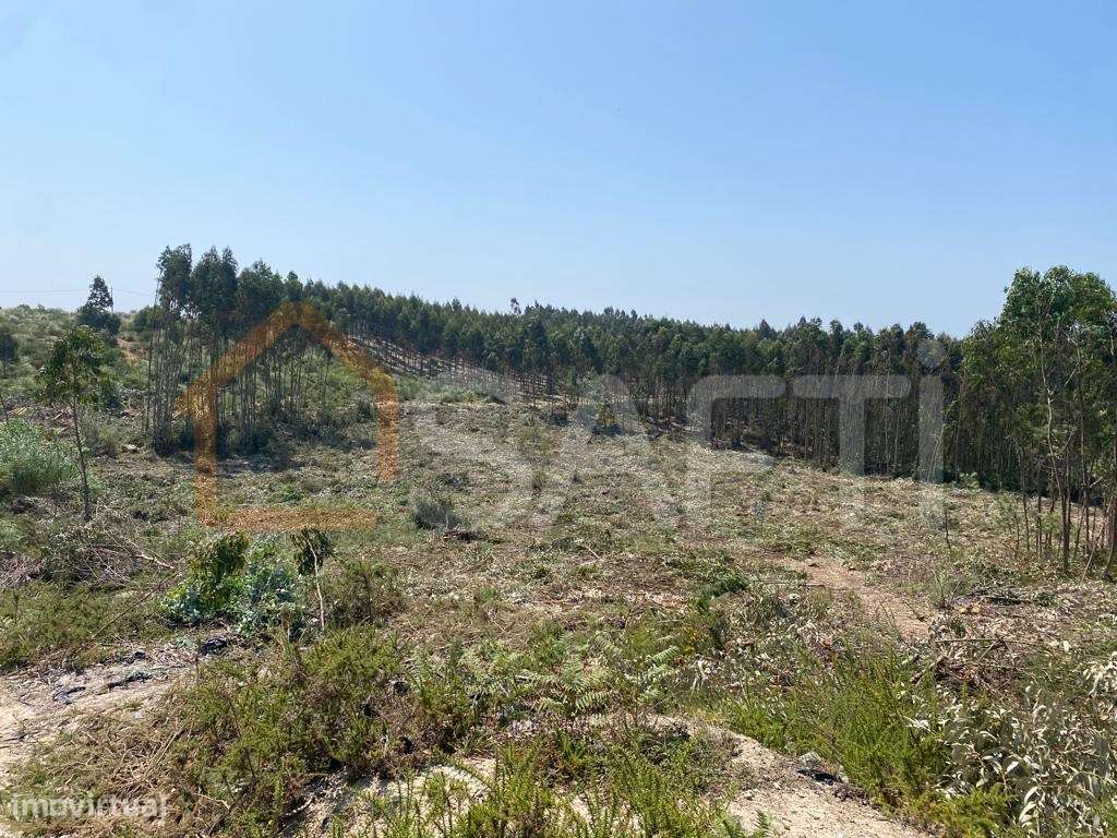 Terreno com aptidão Industrial à venda em Casal de Lobo, A Dos Cunh... - Grande imagem: 5/11