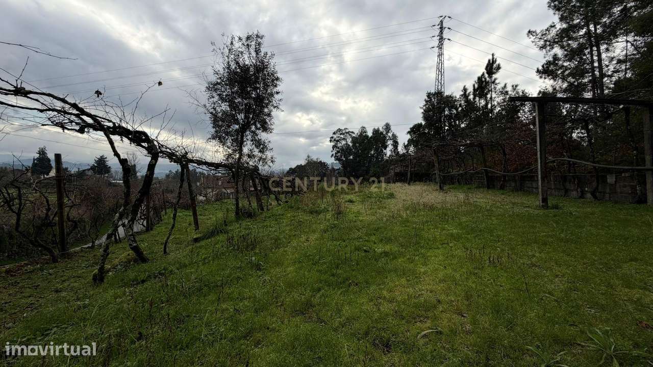 Moradia V3 - Termas de S. Vicente, Penafiel-33