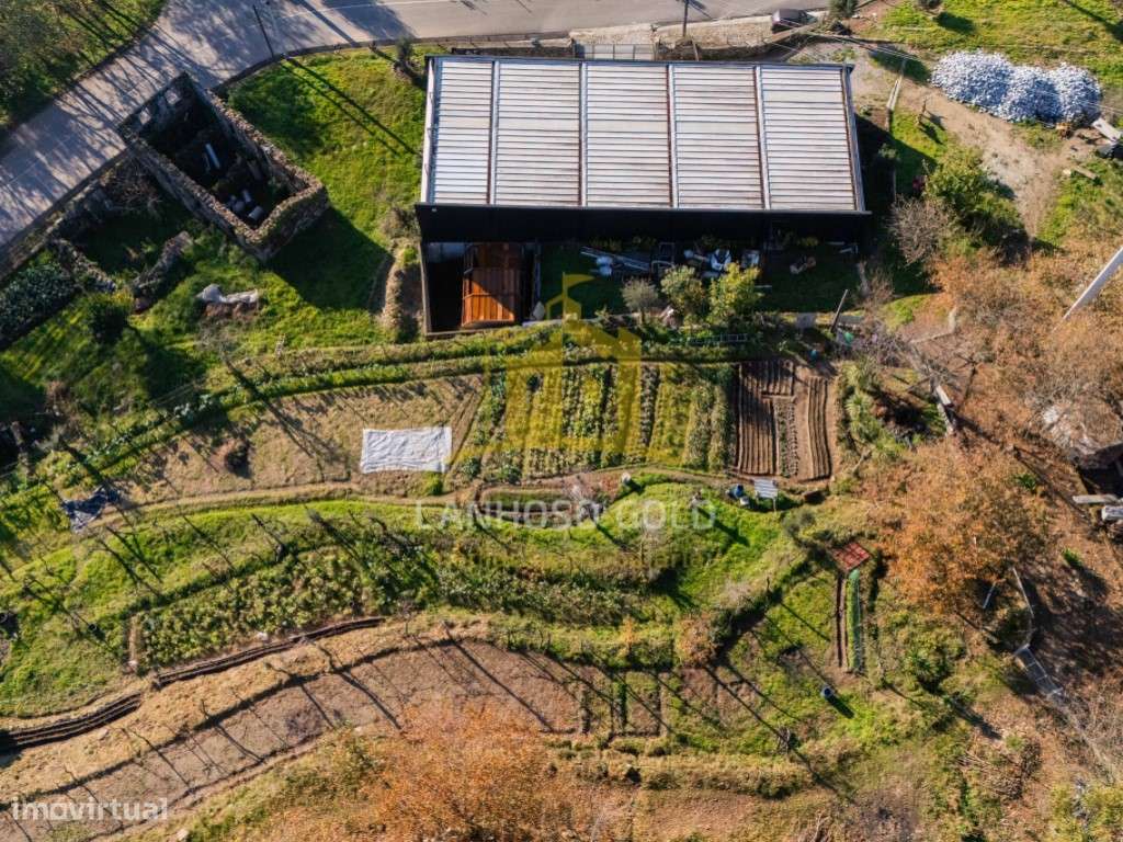 Quinta com Terreno, Armazém e Ruína em Gonça, Guimarães - Oportunid...-17