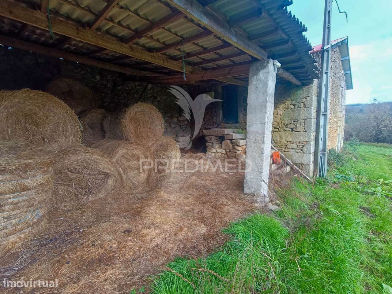 Quinta no Concelho de Trancoso com + de 16 hectares - Grande imagem: 2/18