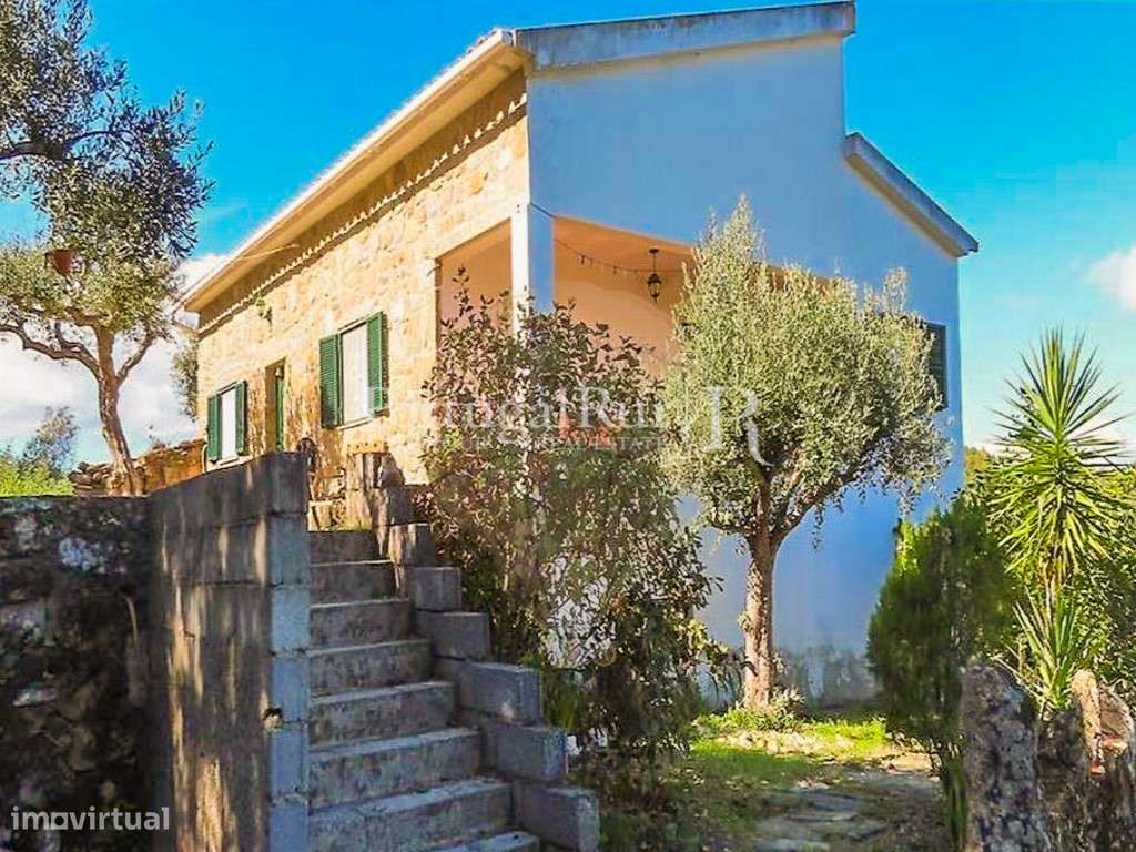 Quintinha de 1,5 ha com Moradia T1 e varias ruínas em Escalos de Baixo - Grande imagem: 4/48