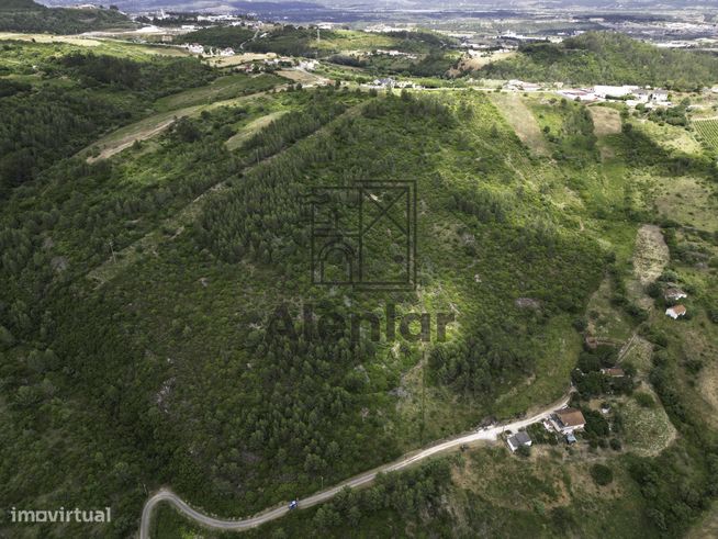 TERRENO MISTO COM 48Ha EM ALENQUER!-23