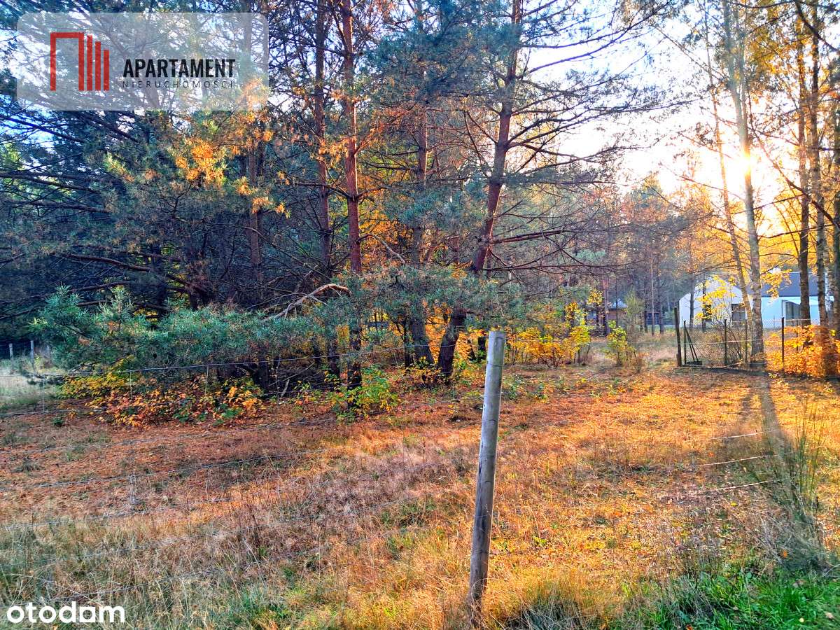 Jeszcze niższa cena!Działka mieszkaniowa w Tleniu! - Pełny obrazek: 5/9