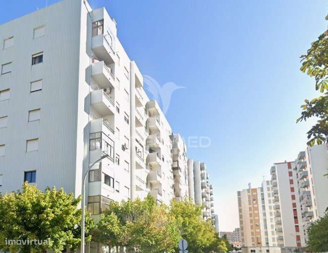 T3 Castelo Branco - Grande imagem: 1/6