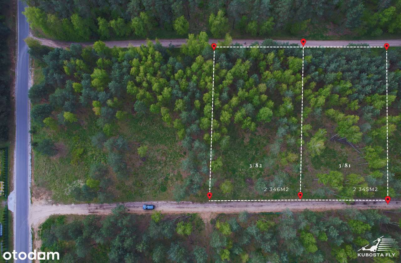 Działka ze starodrzewiem - Puszcza Zielonka Karczewko-2