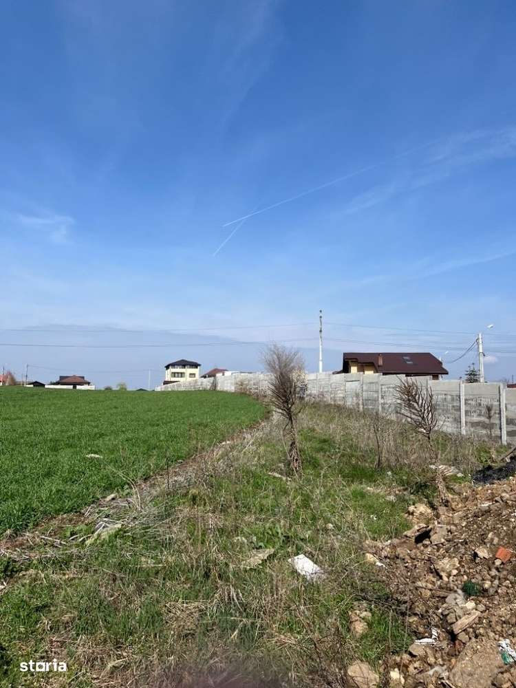 Teren vanzare Branesti, langa padure. Dubla deschidere. - Imagine principală: 3/7