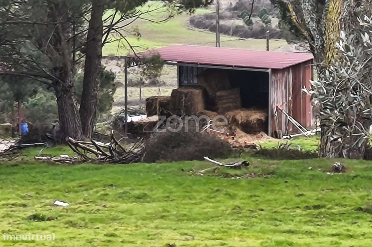 Moradia T3|Quinta com 15 hectares | Serra da Estrela | Garagem |-35