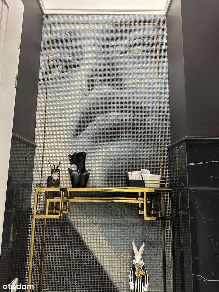 Luksusowy lokal, centrum, prestiżowy-6