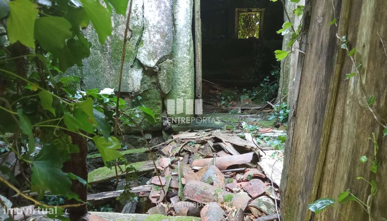 Terreno com ruína em pedra para venda, Dem, Caminha - Grande imagem: 5/23