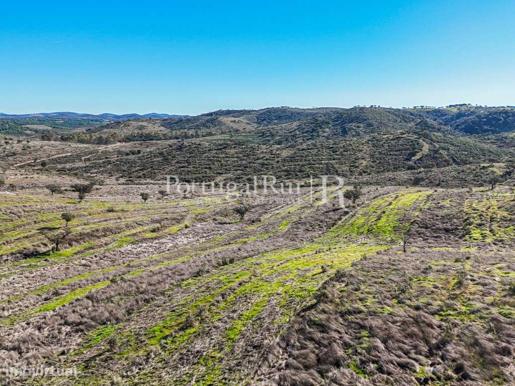 Herdade de Caça Maior com 1000 Hectares + 4 Apartamentos + Anexos-39