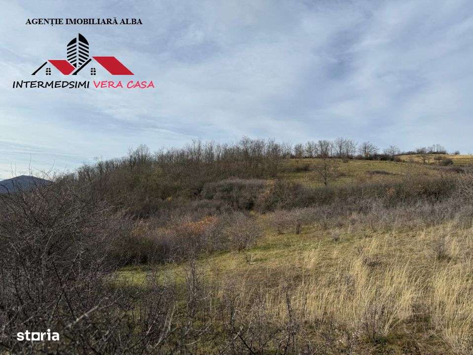 Teren extravilan de vanzare la perfiferia satului Inuri Jud Alba-8