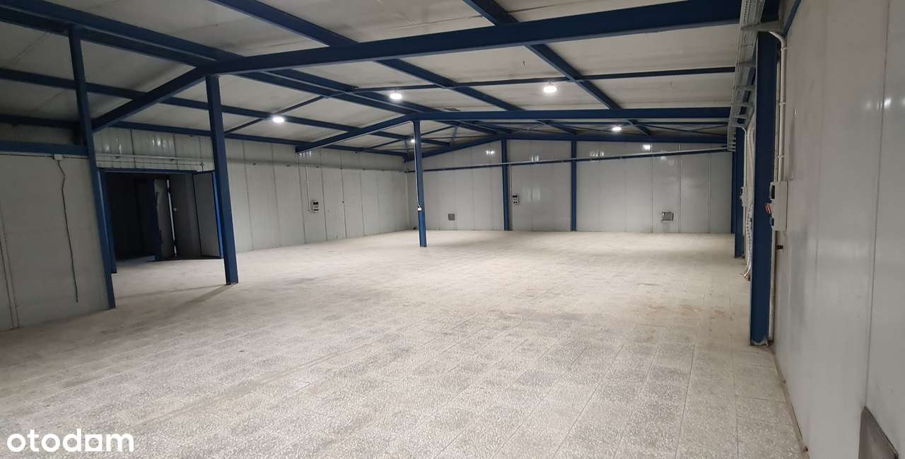 2-Hale magazynowe 420+290m2.Biuro 120m2 razem.830 m2 działka 2640 m2 - Pełny obrazek: 4/20