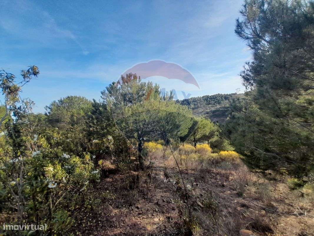 Terreno  para venda - Grande imagem: 4/7