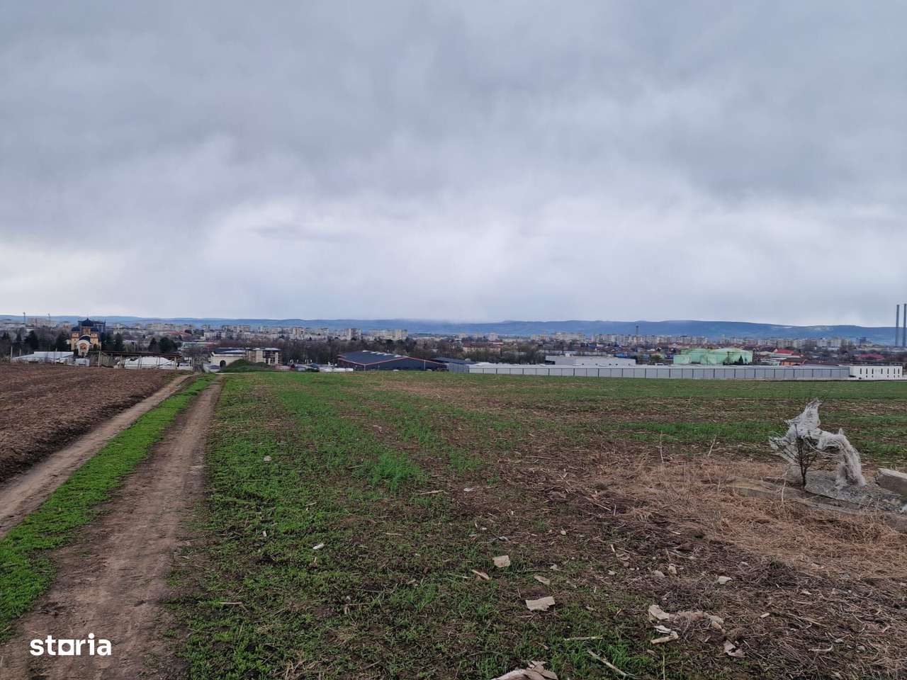 Teren 10,000mp Bacau / Strada Alexandru Safran-5