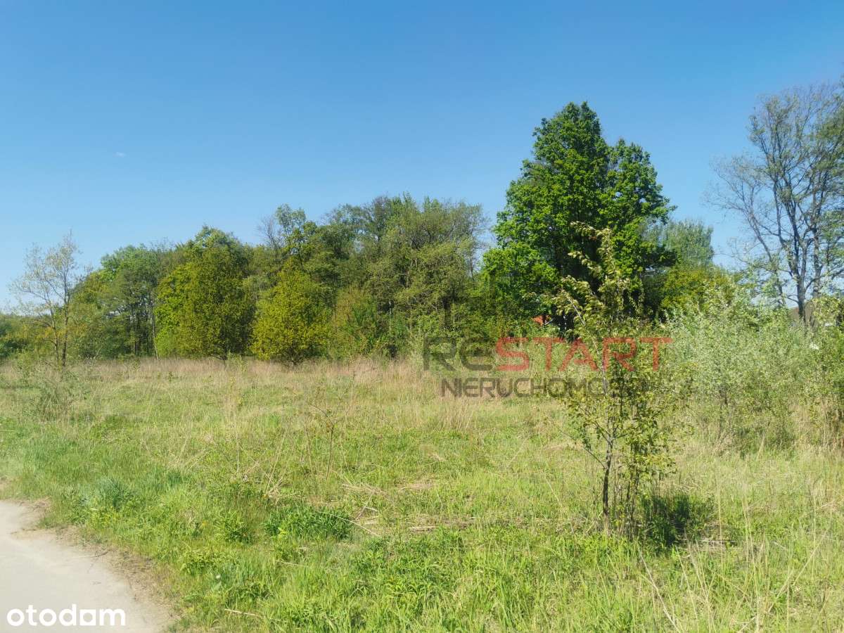 Tylko u nas! Działka budowlana w Grodzisku. - Pełny obrazek: 2/9