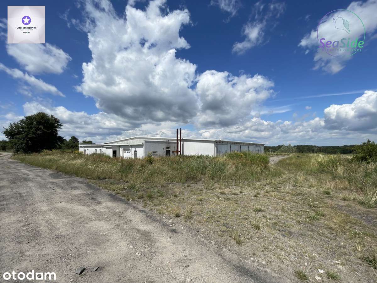 Hala magazynowa 30 km s5 i 50 km od Poznania !!! - Pełny obrazek: 4/11