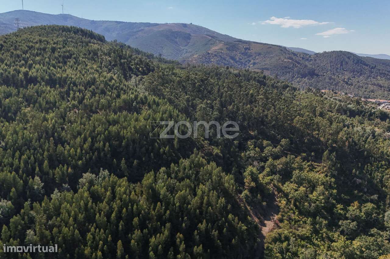 7 Terrenos Rústicos em Folques, Arganil - Grande imagem: 5/15