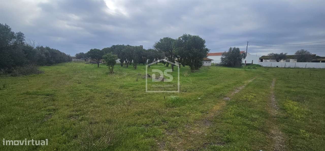 Terreno Misto  Venda em Sarilhos Grandes,Montijo-6