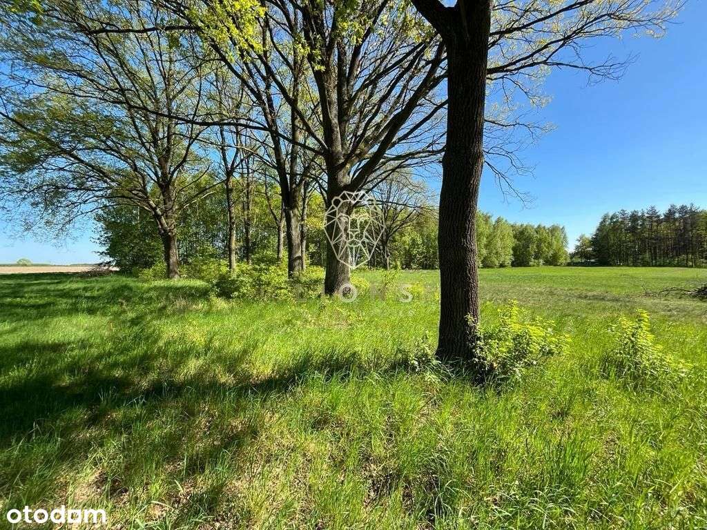 Sprzedamy działki od 1532m2 do 1800m2-8