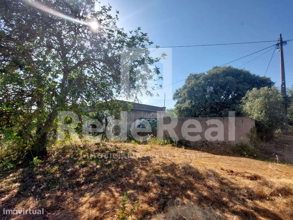 Casa Antiga T3 Venda Faro - Grande imagem: 5/16