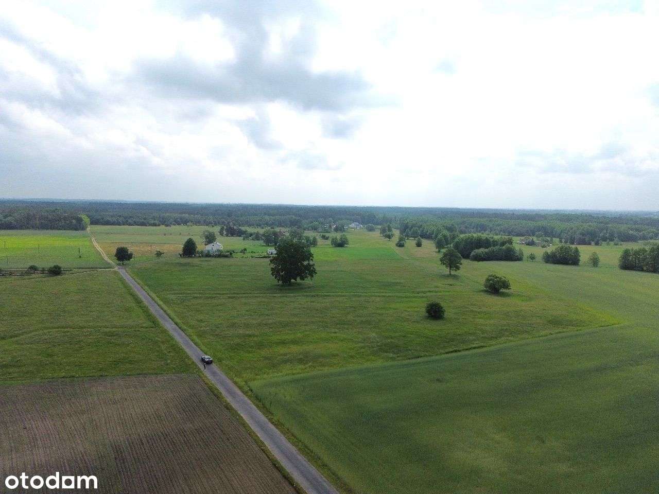 Gierłatowo, 3268m2 z frontem 70m!! zabudowa domowa - Pełny obrazek: 4/11