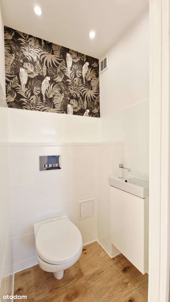 Frelichowskiego, 3 pokoje, duży balkon - Pełny obrazek: 5/17