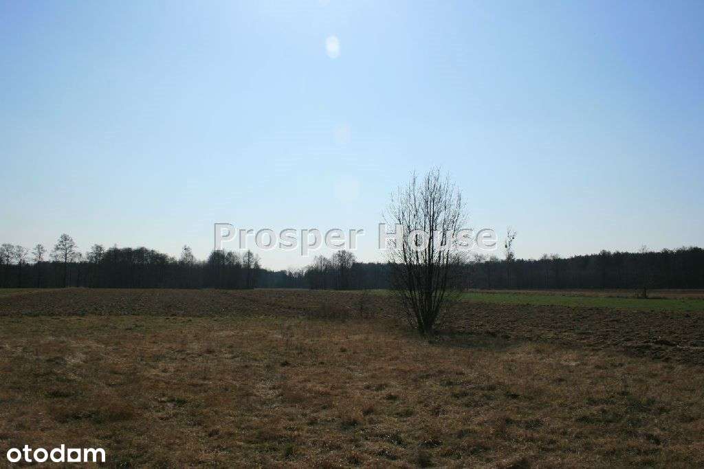 Działka, 26 100 m², Wiejca - Pełny obrazek: 5/20