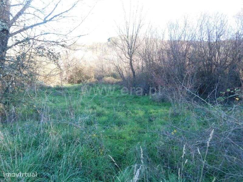 Terreno / Covilhã, Verdelhos - Grande imagem: 5/10