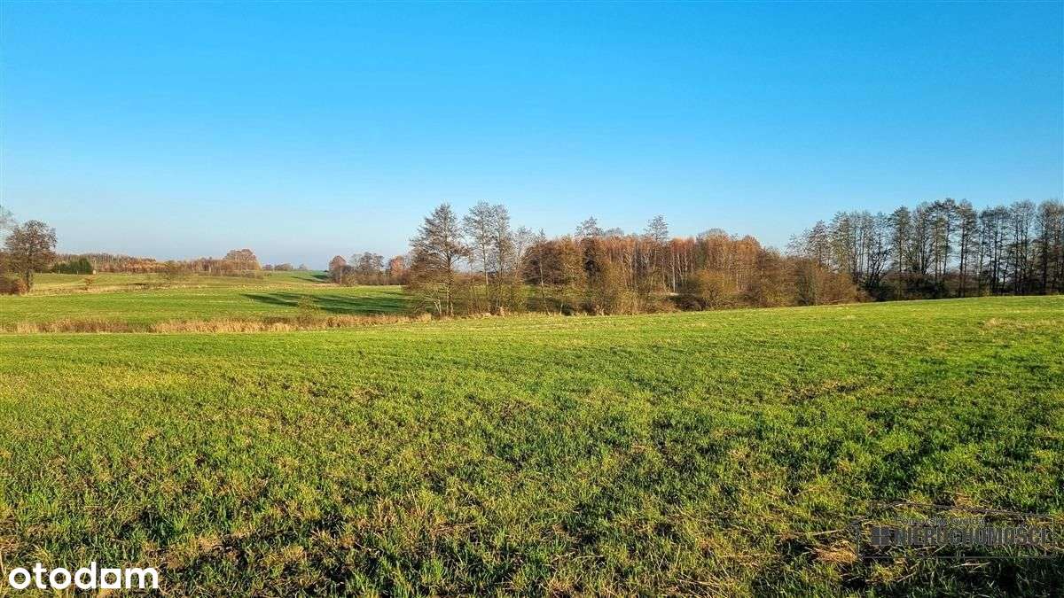 Parsęcko – działka 1,3 ha z możliwością siedliska.-2