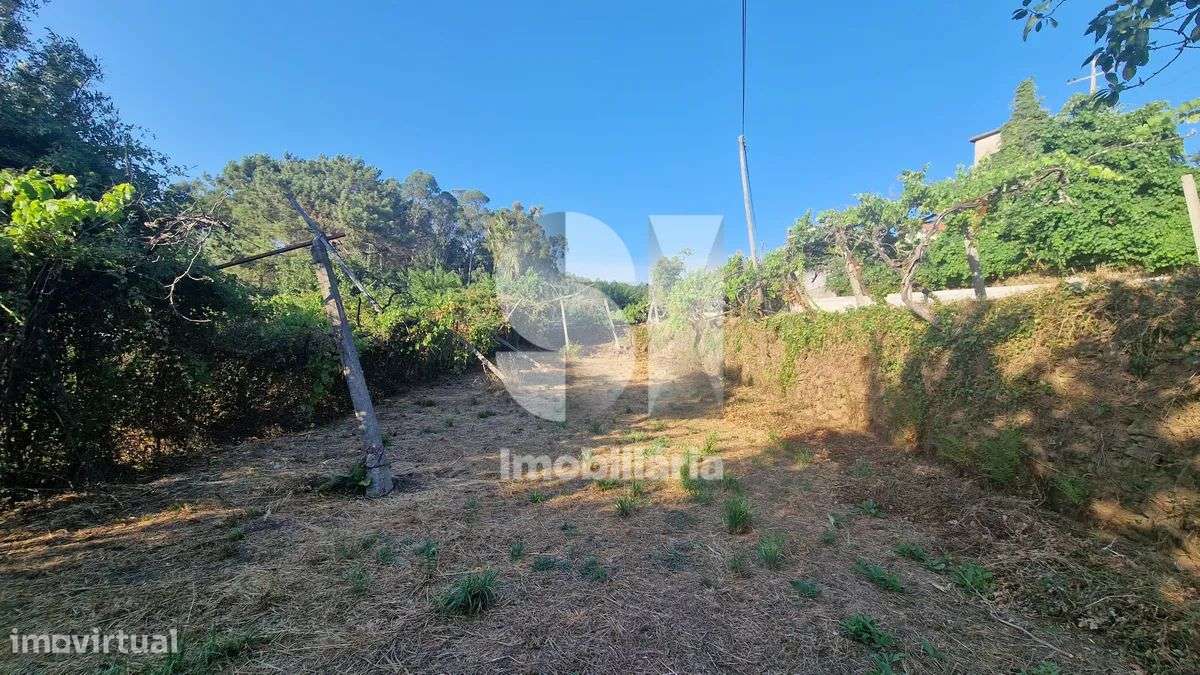 Terreno - potencial de investimento - Astromil - Paredes-26