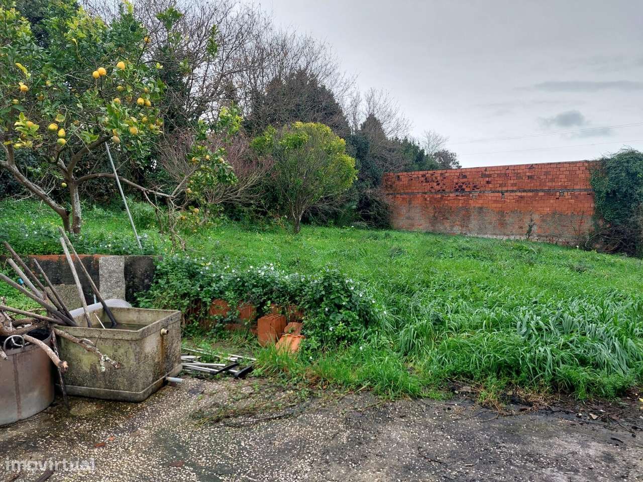 Moradia T2 Térrea com Terreno de 1.200 m2 em Esmoriz – Ovar - Grande imagem: 4/16