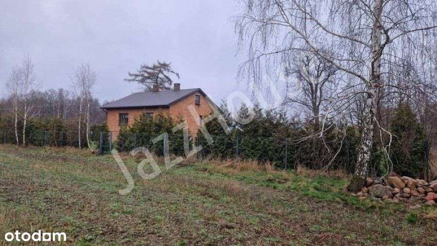 Dom z zabudowaniami gospodarczymi i stawem - Pełny obrazek: 5/17