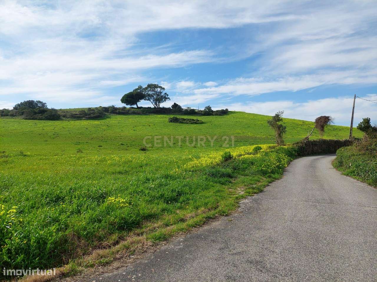 Quinta - 25 hectares-30