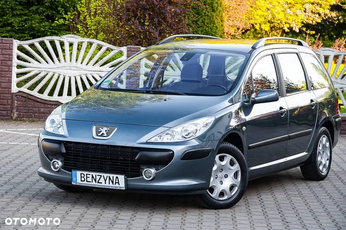 Peugeot 307 - 21