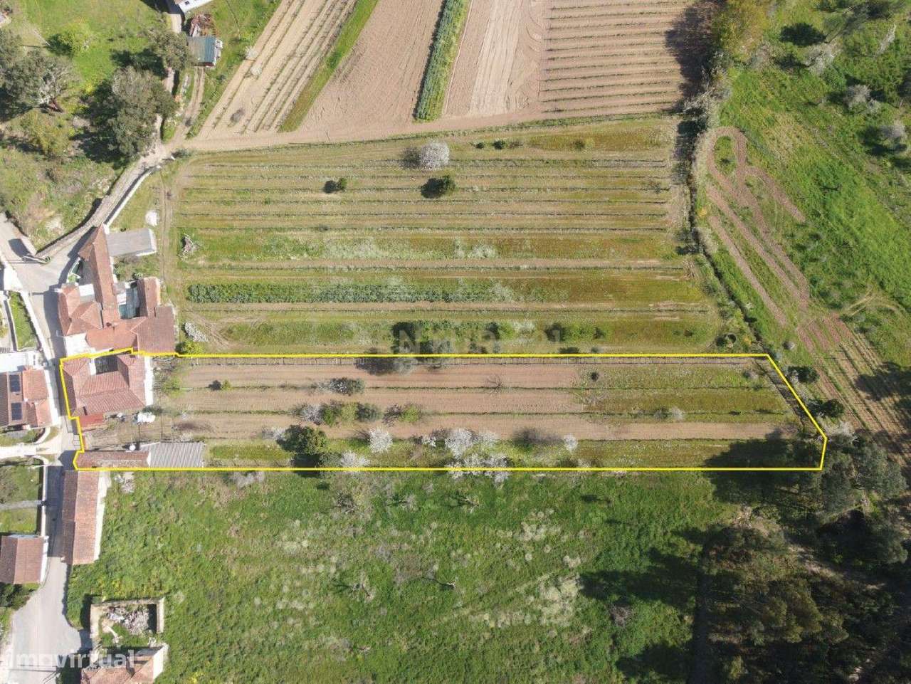 Moradia T3 + 1, com Terreno, em Vila Nova de Poiares-35