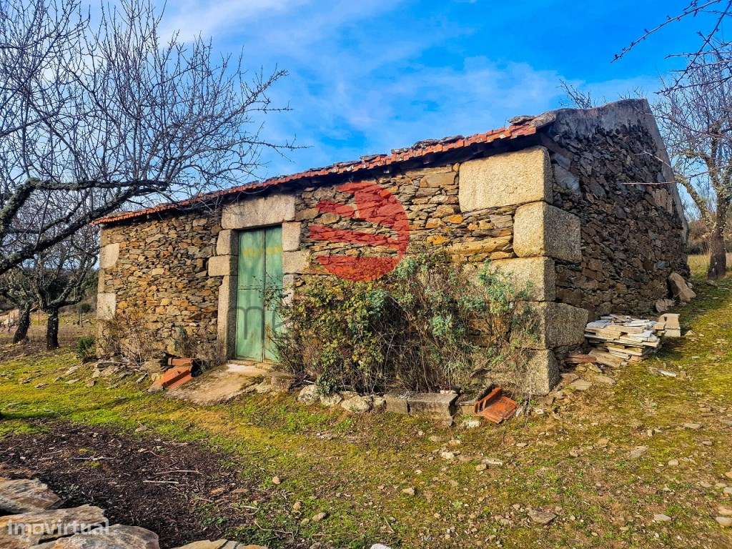 QUINTINHA - Grande imagem: 5/10