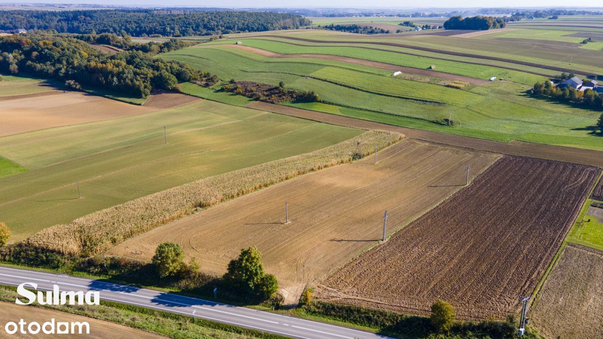 Działka inwestycyjna 1,1 Ha, 30km od Krakowa!