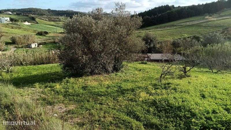 Terreno Não Construível - Casal de Barbas / Valinhos - 25000 Euros - Grande imagem: 5/12