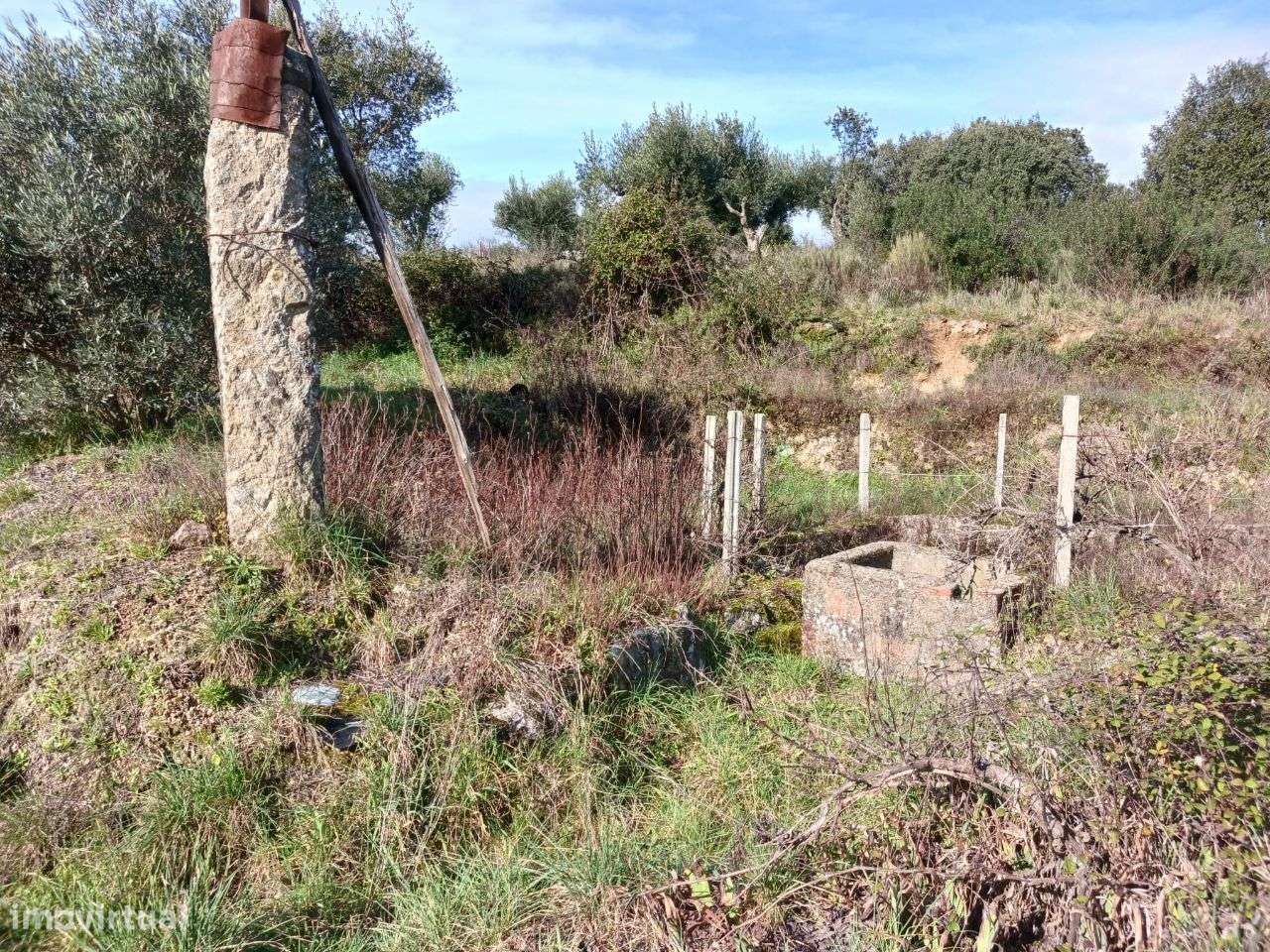 Quintinha - Grande imagem: 5/8