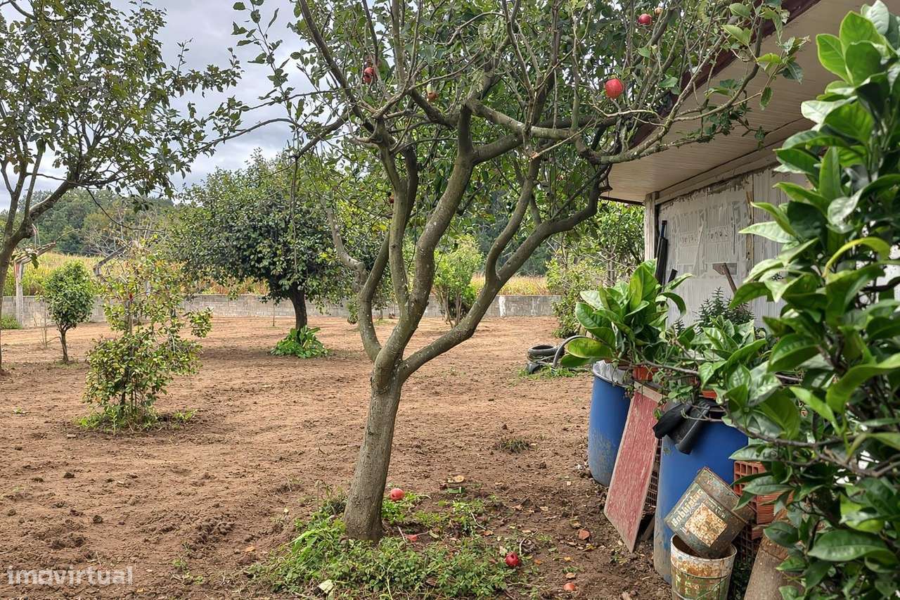 Moradia T4 exclusiva | Piscina| Zona Agrícola | Junto à Praia-56