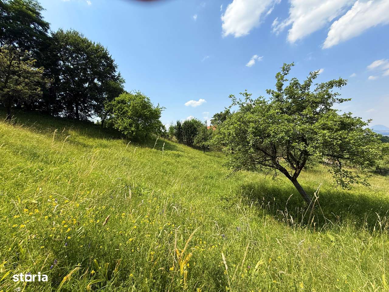 Teren intravilan 2330 mp, comuna Bran, sat Sohodol-5