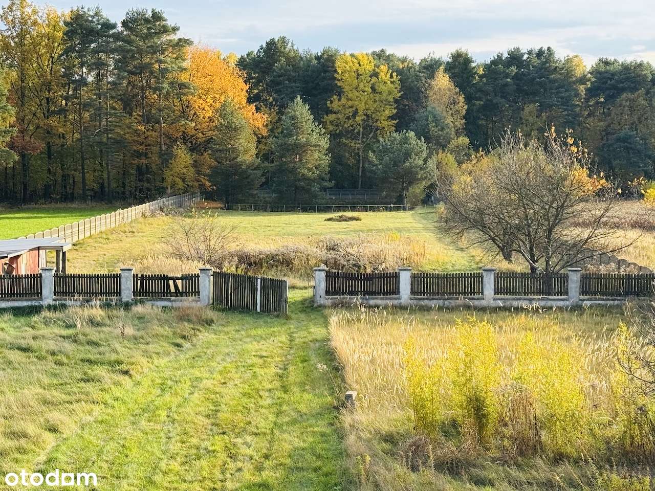 Dom z potencjałem-projekt, dużą działką ze stawem przy lesie-15
