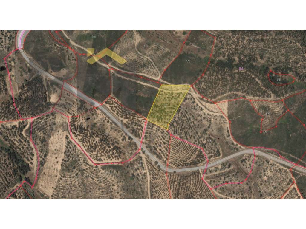 Terreno rústico de 4.480m2 - Grande imagem: 3/3