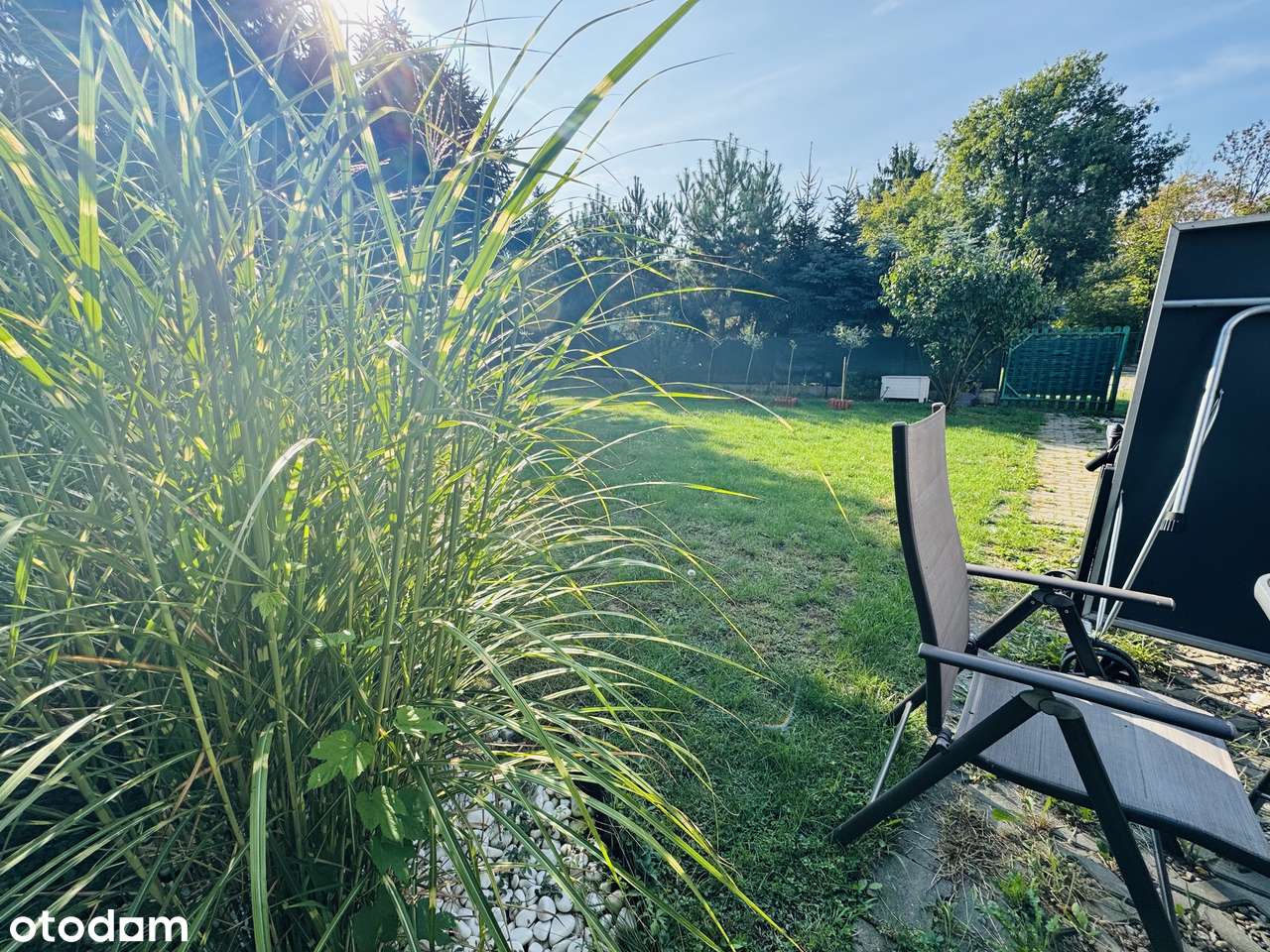 Wolnostojący obiekt z dużym terenem pod parking-5