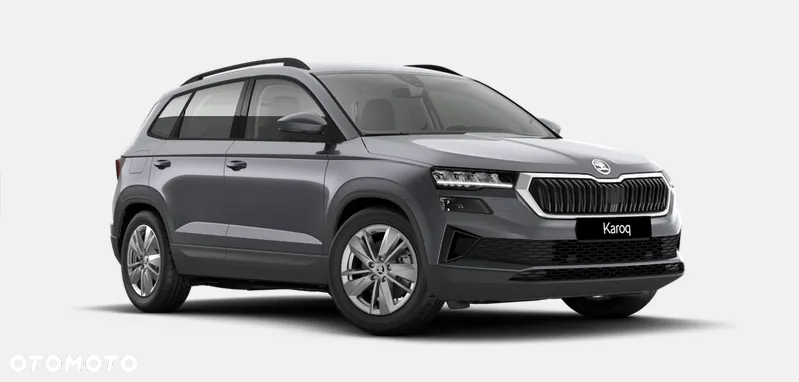 Skoda Karoq - 1