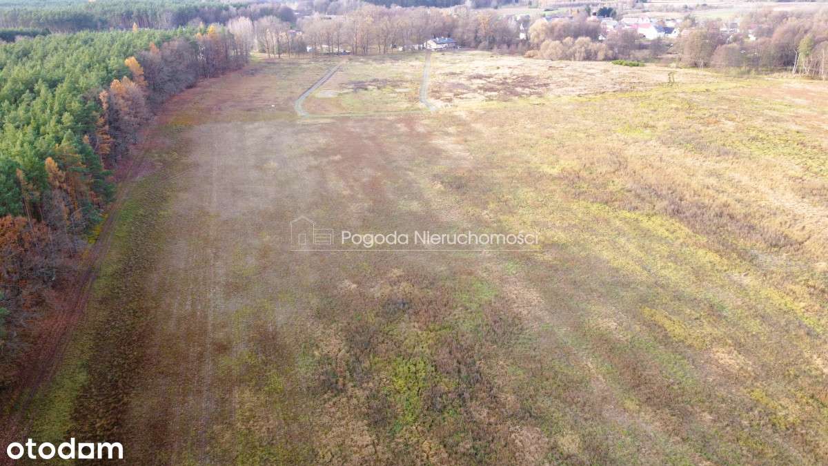 Działki na sprzedaż - Trzebule-5