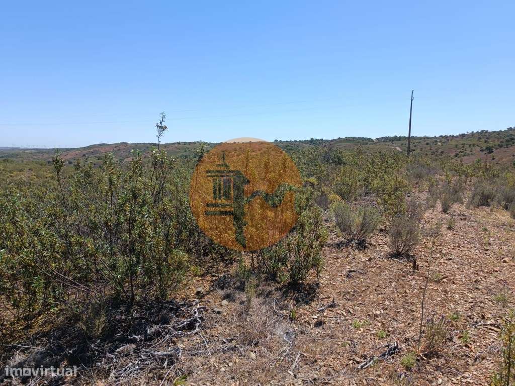 TERRENO COM 34.700 M2 - POSSIBILIDADES DE CONSTRUIR UM ARMAZEM - PR...-16