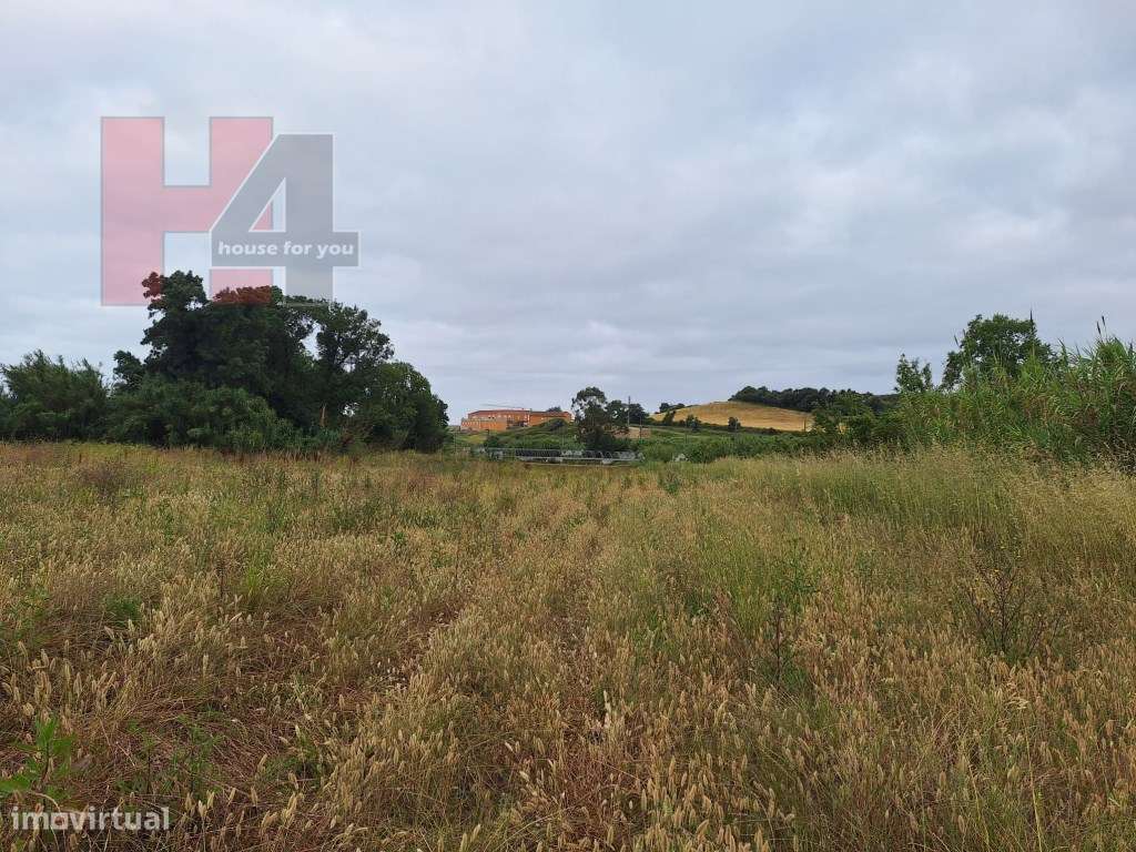 Terreno Rústico Plano com 15.560 m², 3 Poços e Eletricidade - Sapat...-6